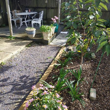 Spring Lodge بورنماوث المظهر الخارجي الصورة